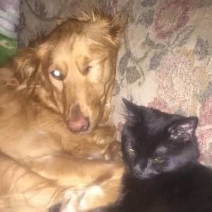 Meet your Posher, Donna